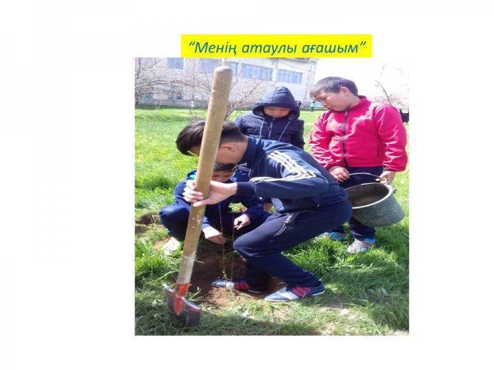 “Жас Ұлан” балалар мен жасөспірімдер ұйымының  жұмыстары
